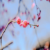 ���Ϲ����