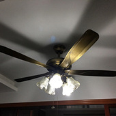 ����ȵ�������ʺ�