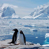 ����ȥ�ϼ������