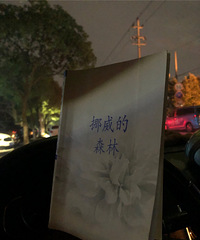 加班的夜晚却不着急回家 想起车上的这本书 不妨再看一遍吧