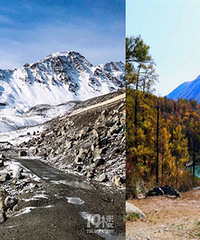 ������½�΢��������������