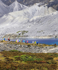 ��¿����ͽ����ɫ�� �ɹ�������