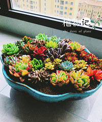 �������������