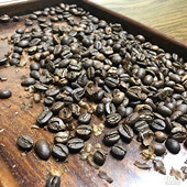 ƽʱϲ�����濧��