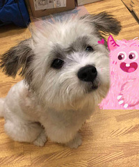 ���ҵ�С���ޡ�80������MM �����ۺϵ���