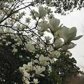 �������ˣ���������