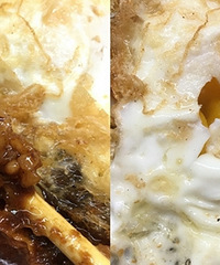 ����Ե����ڷɴ��ŷ� �����㣡