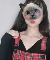 ����װ��һ�����ɿɰ������ӱ�����