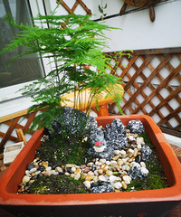 82��GG �����кͻ��� ���������õ�΢�������˺���