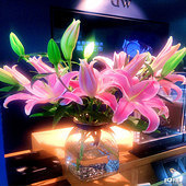 �۰ٺϻ�����ʢ