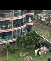 �������������������Ȼ��������ˣ���˵�Ǵ�8¥��������