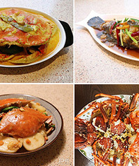 ɹɹ�ҼҳԵ� ȫ���Ǻ���