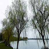 ��������������