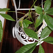 ����ķ��������ƺܺ�