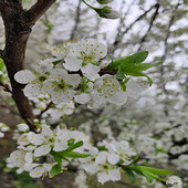 ·��������������