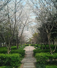 ������Ļ�ɴ�գ�����ӣ���������