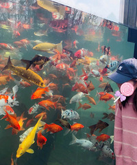 �����ʽ���NO.43��93���ڱ��ʦMM ���ȿɰ� �������͵���һ��