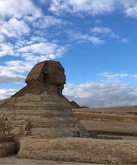 ������۲찣��ʨ��������