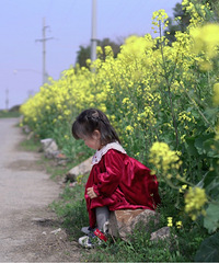 �������İ���С���� ȥ���Ͳ˻�ѽ