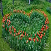 ����̫���������㿪��