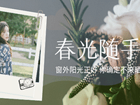 ���������� �������� ��ȷ������ɹһɹ��