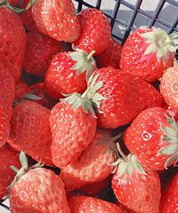 �������� һ��ɲ�ݮ���Ͳ˻�ȥ��