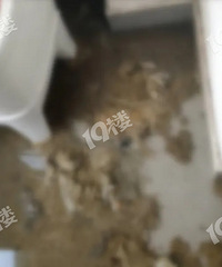 精装房连淹三次!每个房间都有臭水,地板都被浸泡变形…