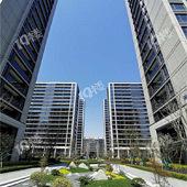 �����̷��������Ǯ