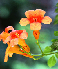 ����������������������2�죡