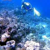 ��Ҫȥ�Ǳˮ