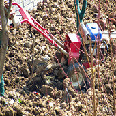 �����ַ�������