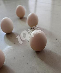 ��������������Ҷ����ɹ�����