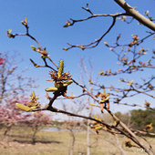 �д����ζ��