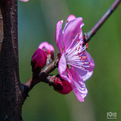 �������ĵ�����