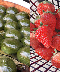 ̤��ȥ����ѩ�������� �ɲ�ݮ