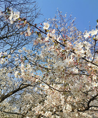 �����ζ�����Ƿ۷����� �����Ķ��ĸо�