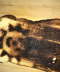 ����������������ַ�����Ͷ��