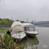 ·���ĺ���С��