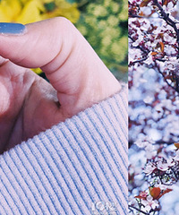 ����������ָ�� ���ٱ䴺��