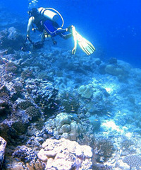 ��ȥǱˮ�����ܺ����������������