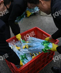 今年嘉兴开始流行起“代祭扫” 你们家还自己去扫墓吗?