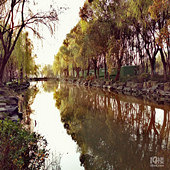 �Ϻ����صľ�ɫ