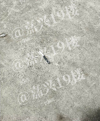 嘉兴某高档小区高空抛物极其严重!刚扔了个剪刀下来!