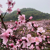 ʢ����ʮ���һ�