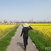 �������� ��һƬ�Ͳ˻�