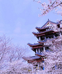 ��ͷ�ӣ������ ��ɫ������ֵ��ӵ�У�