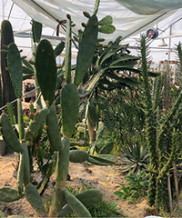 �˸ߵ������ƺ����棡���ǵ�һ�μ�