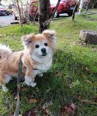 83�걾��MM ������ ����Ů �ҿ��׵���һ��