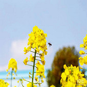 �������ĵ�����