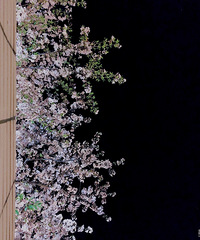 ����һ�·Ĺ�·��ӣ��